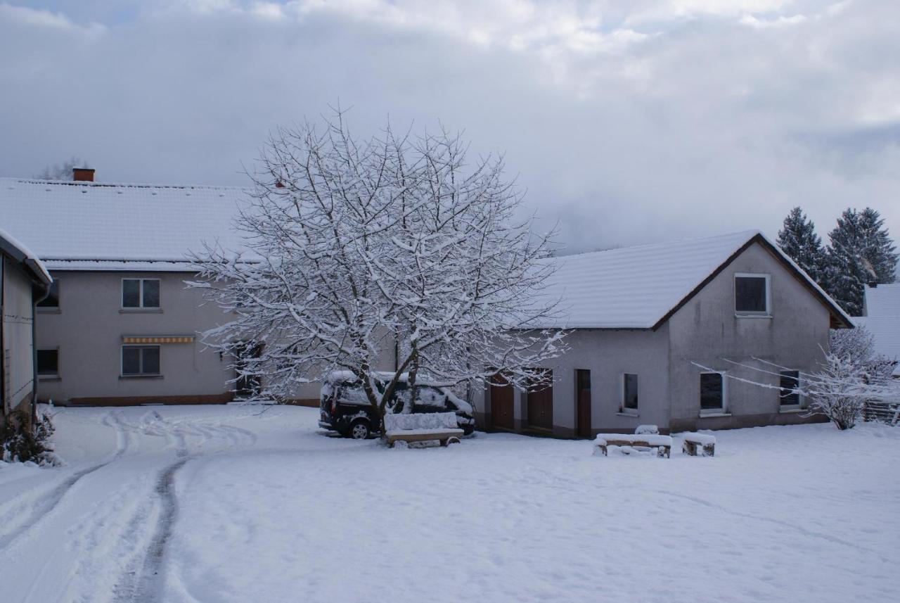 Ferienwohnung Zum Kirschhof Hofbieber Dış mekan fotoğraf